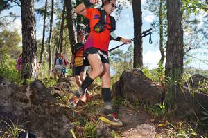 BIB: 
                            <button type="button" onclick="openModal(18936557)" class="btn btn-primary btn-sm float-right btn-popup" data-toggle="modal" data-target=".modal-high-quality">
                        <i class="fas fa-shopping-cart"></i> Add to Cart
                    </button>
                                            <button type="button" onclick="isThisMe(18936557, true)" class="btn btn-success btn-sm float-right btn-popup btn-isme hidden" data-toggle="tooltip" data-placement="bottom" title="นี่คือรูปของคุณใช่ไหม คลิกที่นี่เพื่อเอาเข้าอัลบั้ม">
                        <i class="fas fa-plus"></i> Add to album
                    </button>
                    <button type="button" onclick="isThisMe(18936557, false)" class="btn btn-warning btn-sm float-right btn-popup btn-isnotme hidden">
                        <i class="fas fa-ban"></i> Remove from album
                    </button>